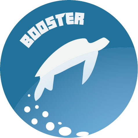 Ada Booster Logo